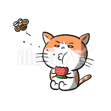 スイカの種を飛ばすネコくん