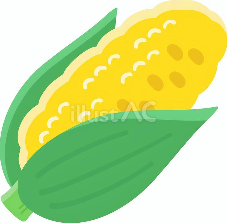 とうもろこし02 とうもろこし,夏,夏野菜のイラスト素材