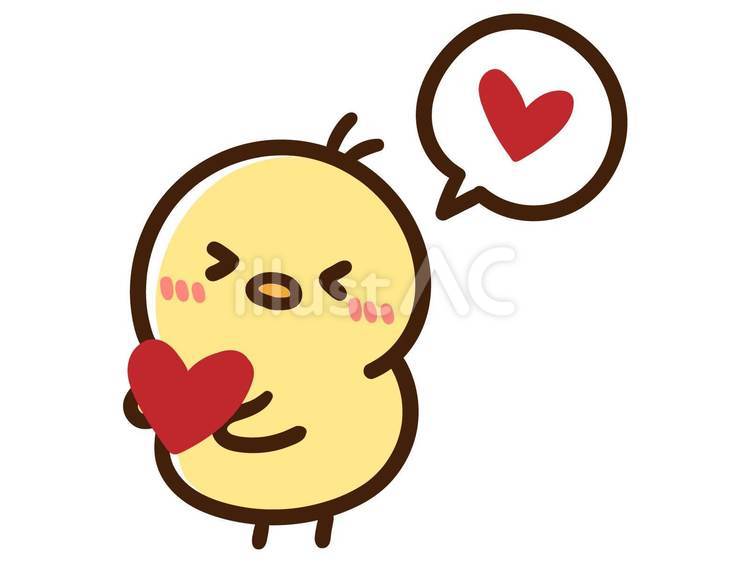 ひよこ様 ウィッグオーダー 専用ページ ひよこ様専用ウィッグオーダーページ 【ひよこ様専門ページ】