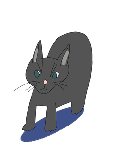 ねこ ねこ,こねこ,びっくり,夜,絵本のイラスト素材