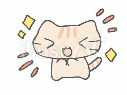 わくわく ねこ