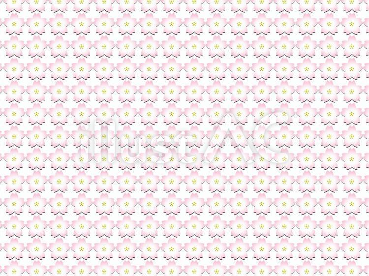 桜の壁紙 桜,さくら,植物のイラスト素材