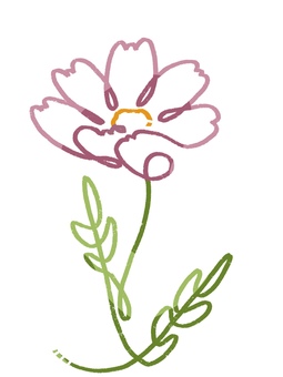 コスモス　線画(色付き) コスモス,花,ピンク,手描き,おしゃれ,秋,緑,アイコンのイラスト素材