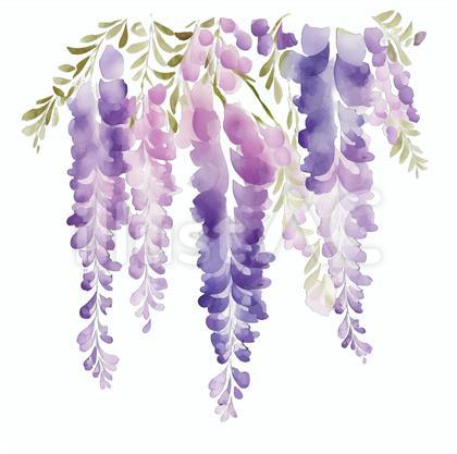 水彩タッチ 藤の花