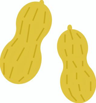 シンプルな落花生のイラスト