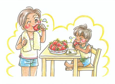 ミディ(中玉)トマトを食べている二人 ミディ(中玉)トマトを食べている二人 トマト,中玉,夏,おいしい,甘い,酸っぱい,フレッシュ,おやつ,みずみずしい,爽やかのイラスト素材