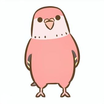 アキクサインコ2（ローズ） アキクサインコ,インコ,鳥,ペット,デフォルメ,生き物,動物,かわいい,アイコンのイラスト素材