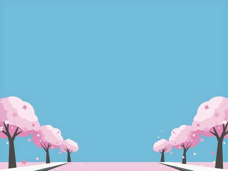 桜並木のフレーム・背景 桜並木,桜,お花見,花見,花,入学,卒業,春,季節,植物のイラスト素材