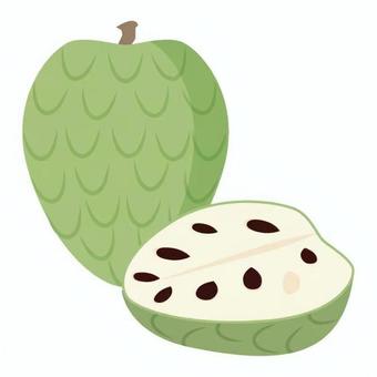 チェリモヤ スペイン,外国,社会,果物,チェリモヤ,緑,種,断面,南国,木の実のイラスト素材