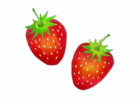 いちごの水彩風　2個セットカラーイラスト イチゴ,苺,いちご狩り,ベリー,果物,春,フルーツ,果実,実,種のイラスト素材