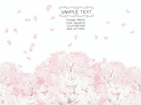 Cherry blossom frame postcard, شجرة الكرز, زهرة, ربيع, JPG and PNG