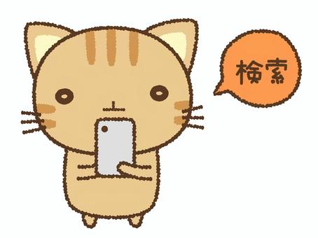 Cat searching on smartphone, cat, smartphone, search, JPG and PNG