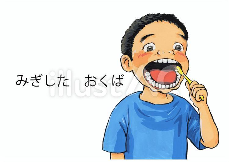 はみがき　２みぎしたおくば　手順書 はみがき,保育園,幼稚園のイラスト素材