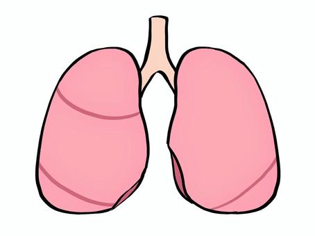 Lung 1, JPG and PNG Lung 1, hand drawn, tiny, pop, JPG and PNG