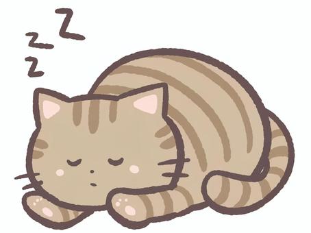 お昼寝をするかわいい動物のとら猫 昼寝,眠い,睡眠,寝る,猫,動物,生き物,とら猫,哺乳類,かわいいのイラスト素材