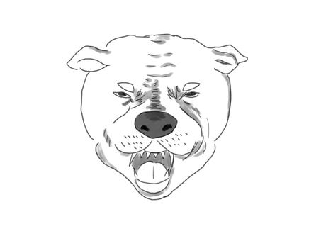 怖い顔の犬 怖い顔の犬 犬,怖い顔,ピットブル,威嚇,シンプル,かわいい,手書き,デジタル,オリジナル,イラストのイラスト素材