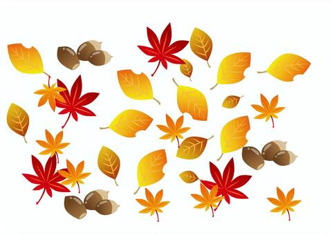 Autumn leaves, as cores do outono, koyo, outono, JPG and AI