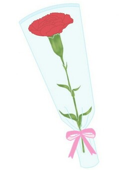 Carnation ②, , JPG and PNG