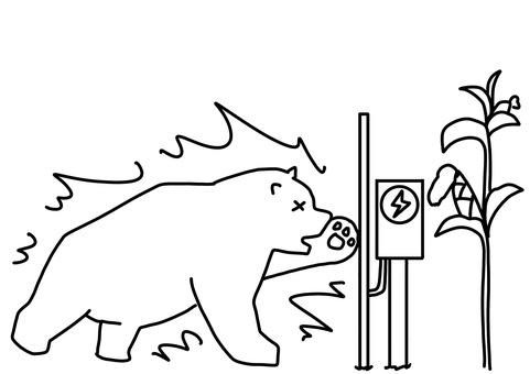 とうもろこしと電気柵で感電する熊　線画　 とうもろこし,クマ,害獣,感電,電気柵,ビックリ,線画のイラスト素材