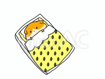お休み中のハムスター
