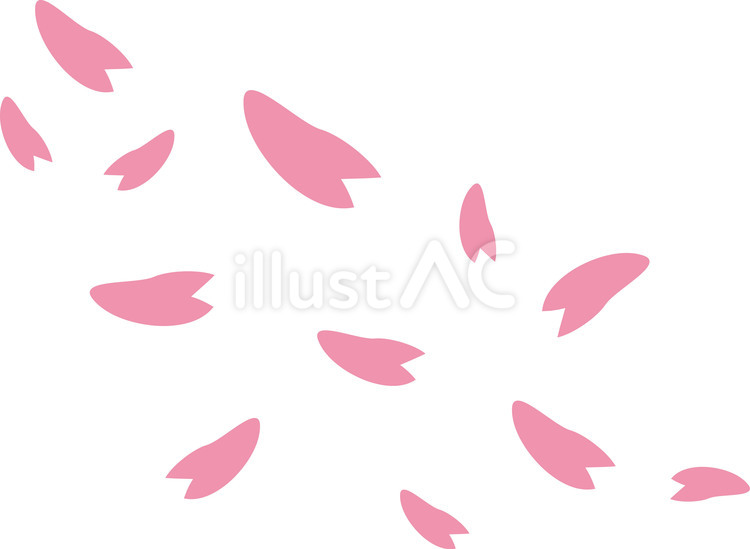 桜の花びら 桜,サクラ,春のイラスト素材