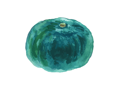 水彩のリアルでシンプルなカボチャ かぼちゃ,カボチャ,野菜,秋,食べ物,水彩,水彩絵の具,手描き,手書き,白背景のイラスト素材