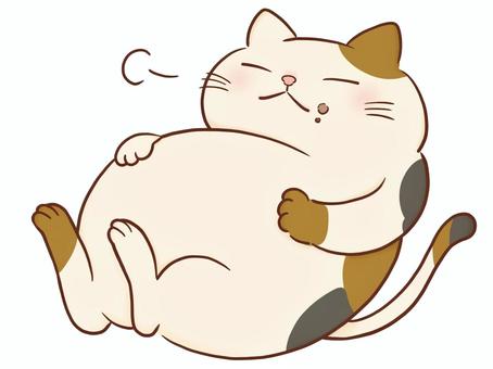 満腹の猫(三毛) 猫,三毛猫,可愛い,デブ,肥満,満腹,満足,仰向け,お腹,パンパンのイラスト素材