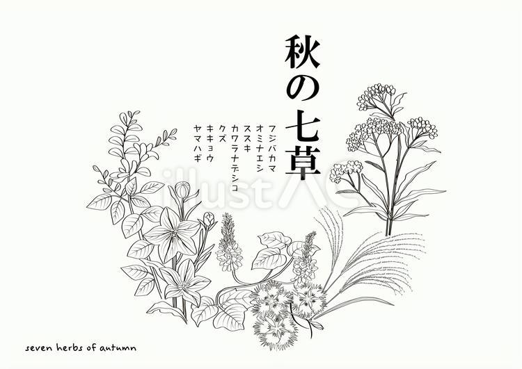秋の七草円形フレーム（モノクロ） 秋の七草,手描き,秋のイラスト素材