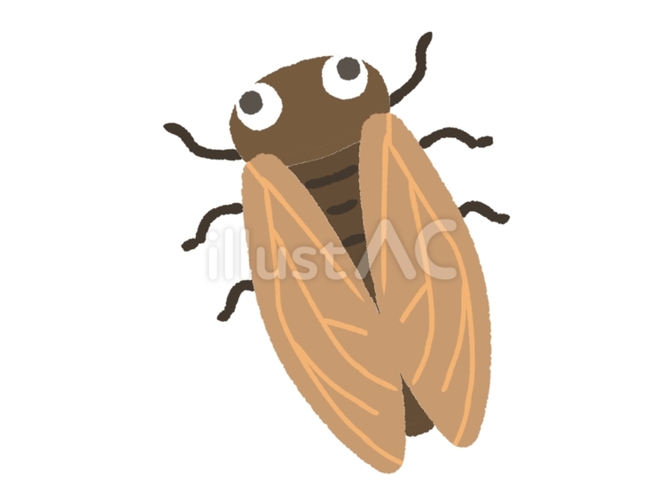 すっとぼけゼミ 虫,昆虫,蝉のイラスト素材