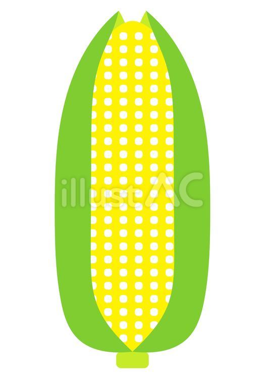 とうもろこし トウモロコシ,野菜,とうもろこしのイラスト素材