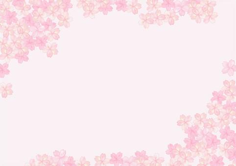 Illustration, cherry blossoms, background, spring, 