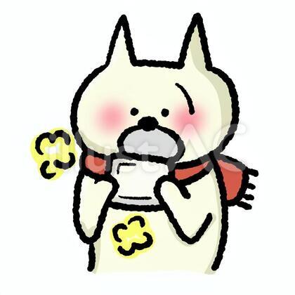 カイロと猫