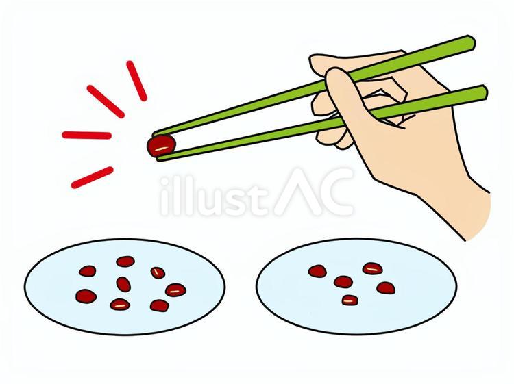 お箸の持ち方の練習（小豆） 箸,持ち方,練習のイラスト素材