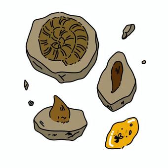 化石 化石,手書き,鉱物,古代,骨,アンモナイト,琥珀のイラスト素材