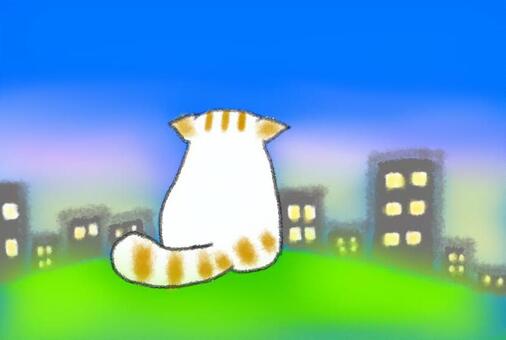 猫 猫 ネコ,ねこのイラスト素材