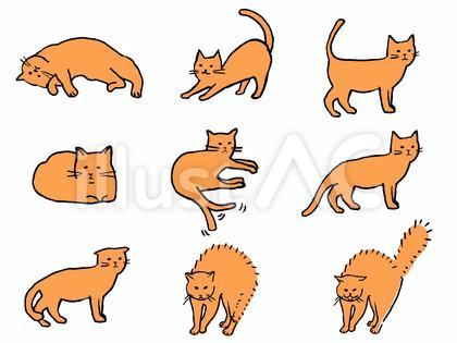 手描き猫ボディーランゲージセットカラー
