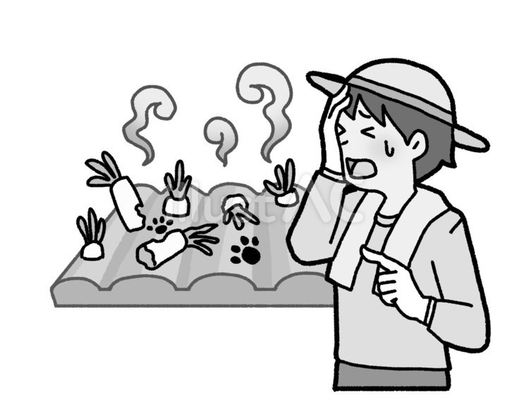 害獣が畑を【グレースケール】 畑,食害,害獣のイラスト素材