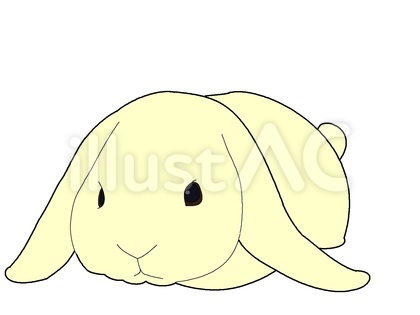 うさぎ(白ドワーフ)