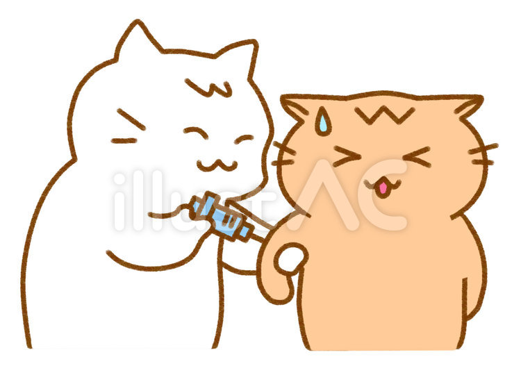 注射　予防接種1 ねこ,猫,茶トラのイラスト素材