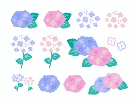 수국 세트, JPG, PNG 및 AI 수국 세트, 수국, 세트, 여름, JPG, PNG 및 AI
