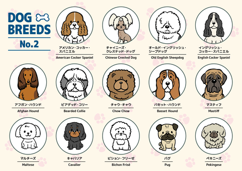 DOG BREEDS-2（A4） 柴犬,ベドリントン,テリア,ブル,ボーダー,コリー,ビーグル,ウェルシュ,コーギー,エアデールのイラスト素材
