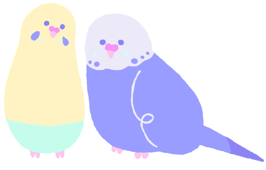 yellow and blue budgie, , JPG and PNG