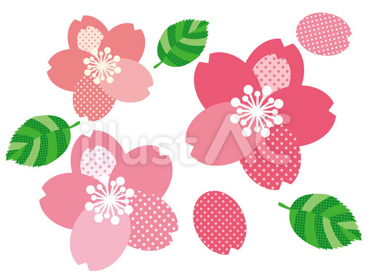桜 さくら,サクラ,桜の花のイラスト素材