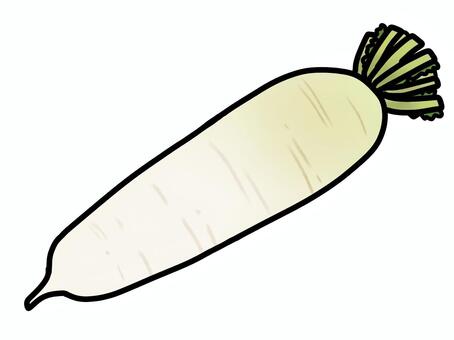 大根 大根,野菜,葉,食品,食料品,食べ物,食材,料理,根野菜,農作物のイラスト素材