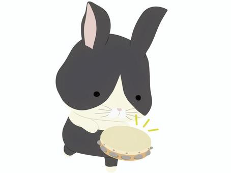 タンバリン_兎 タンバリン,うさぎ,ダッチ,動物,かわいい,楽器,演奏,音楽のイラスト素材