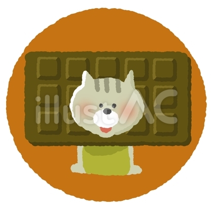 板チョコねこ②