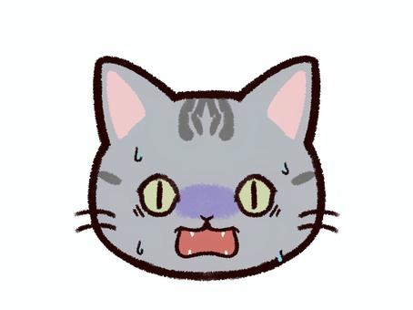 Illustration, cat, to be surprised, terror, 