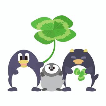 四つ葉のクローバーとペンギン クローバー,四つ葉,三つ葉,ペンギン,イワトビペンギン,生き物,動物,動物園,葉,植物のイラスト素材