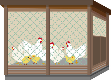 小屋のニワトリ 小屋,オリ,ゲージ,アミ,金網,ニワトリ,鶏,ひよこ,雛,鳥類のイラスト素材