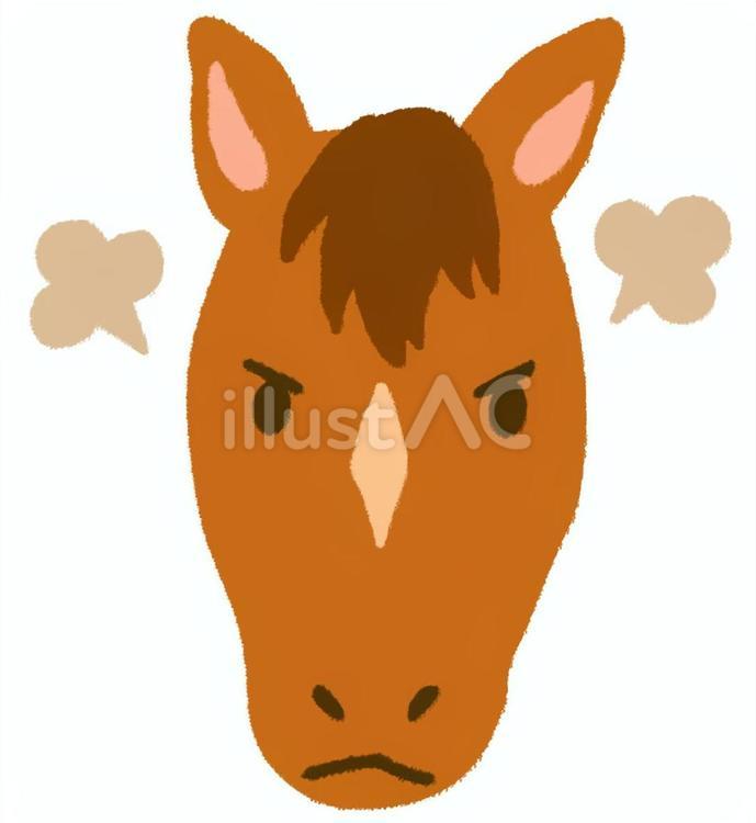 怒った表情のシンプルな馬の顔 馬,顔,怒るのイラスト素材